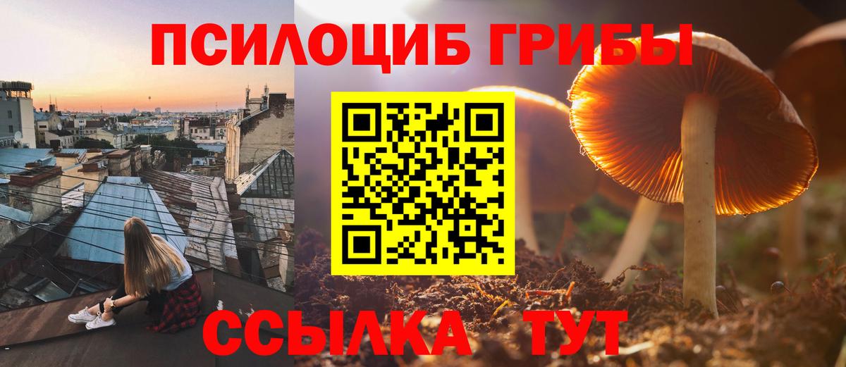 Новозыбков  Вход с VPN  Alpha-PVP СОЛЬ кристаллы  Кокаин  ГАШ  Кетамин  Меф МЯУ МЯУ   Бошки Шишки 